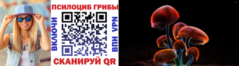 Псилоцибиновые грибы Psilocybe Нюрба
